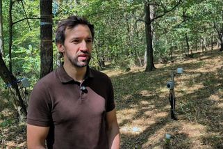Stromy v Česku kvůli vedrům nebývale trpí